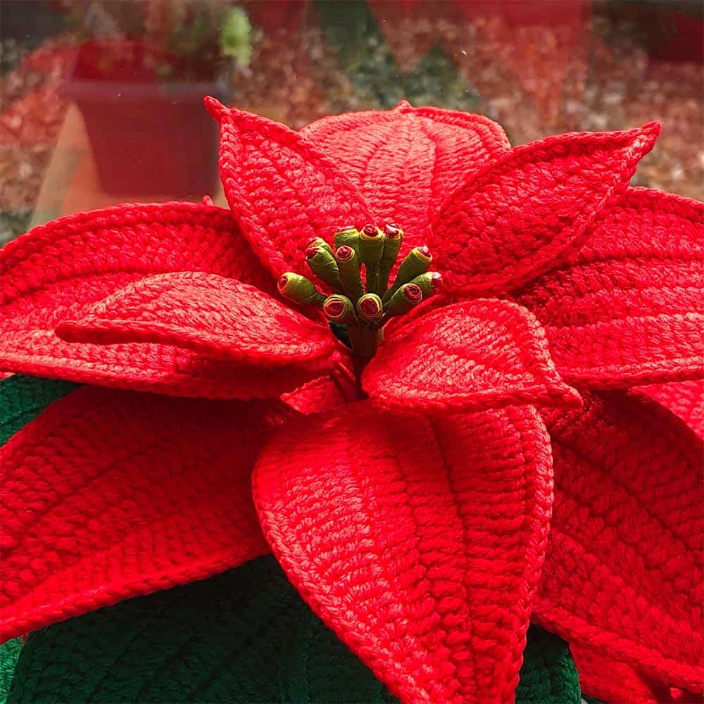 Crochet Poinsettia Pattern Natagor Finlayson
