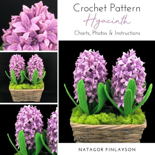 Crochet Hyacinth Pattern