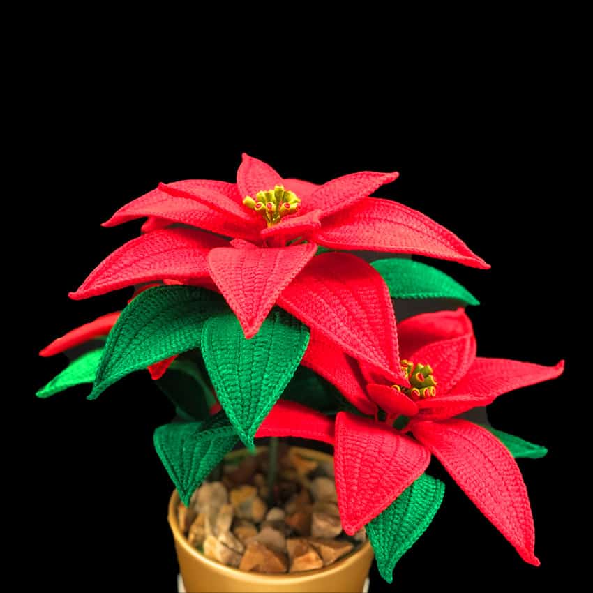 Crochet Poinsettia Pattern Crochet Poinsettia Pattern