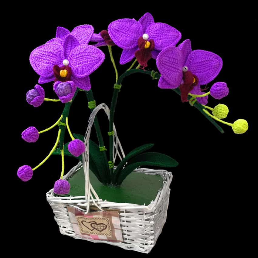 Moth Orchid Crochet Pattern Moth Orchid Crochet Pattern