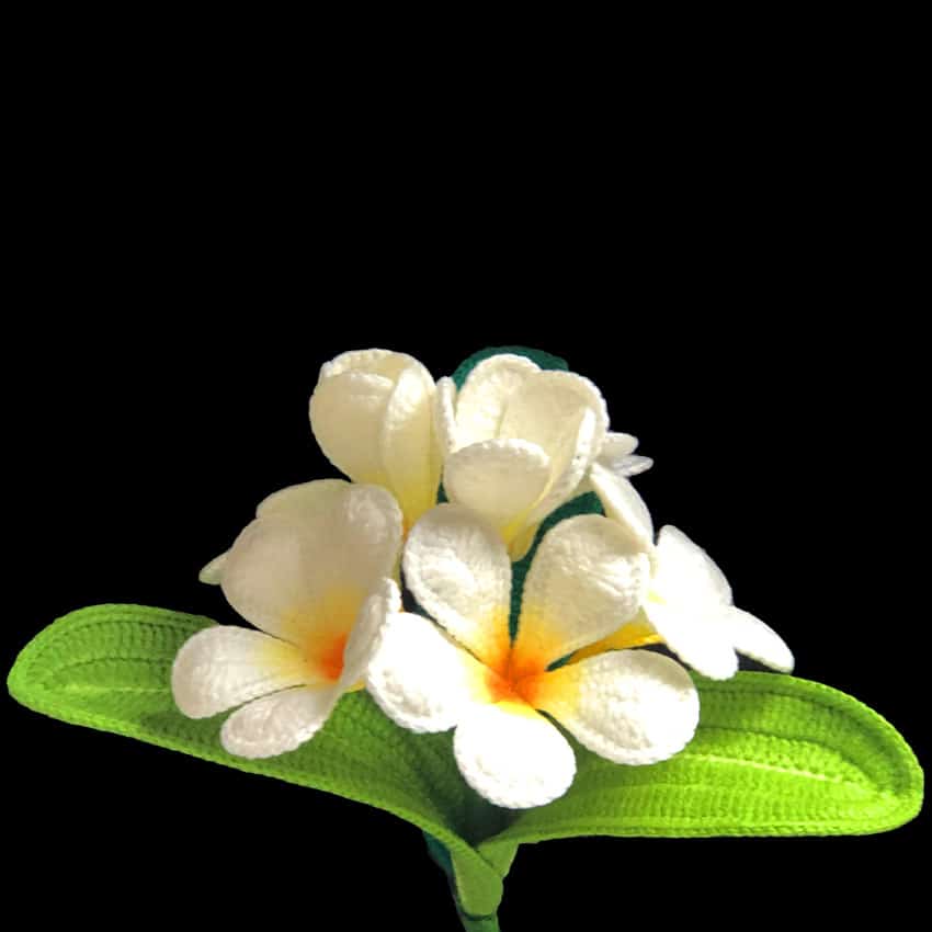Crochet Plumeria Pattern Crochet Plumeria Pattern