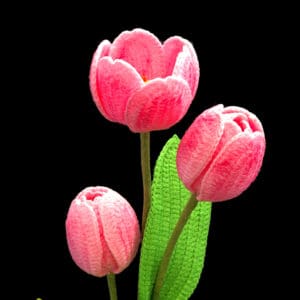 Crochet Tulip Pattern Product Image