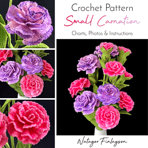 Crochet Carnation Pattern