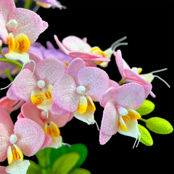 orchid flower pattern